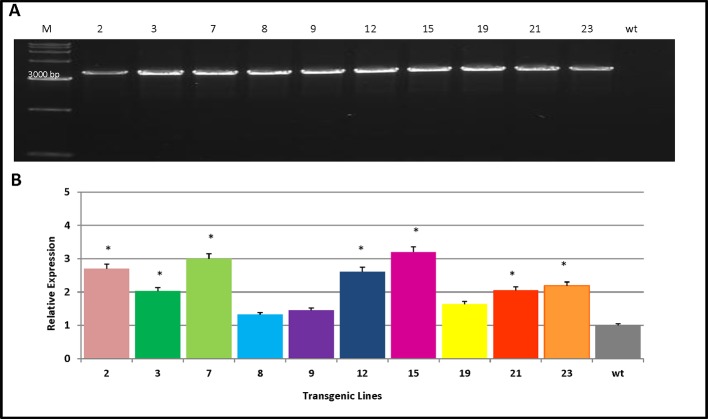 Figure 3