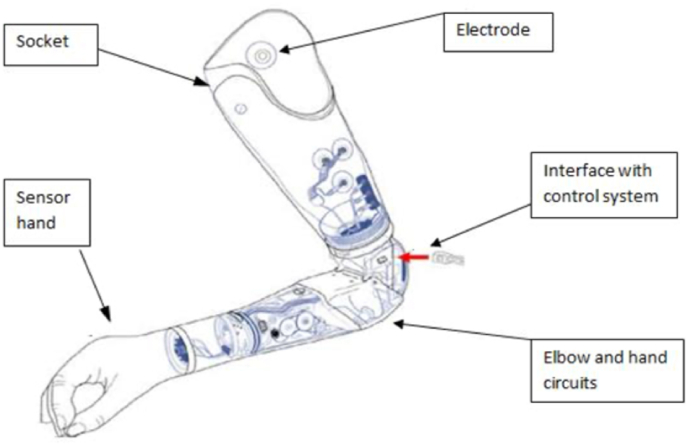 Fig. 10