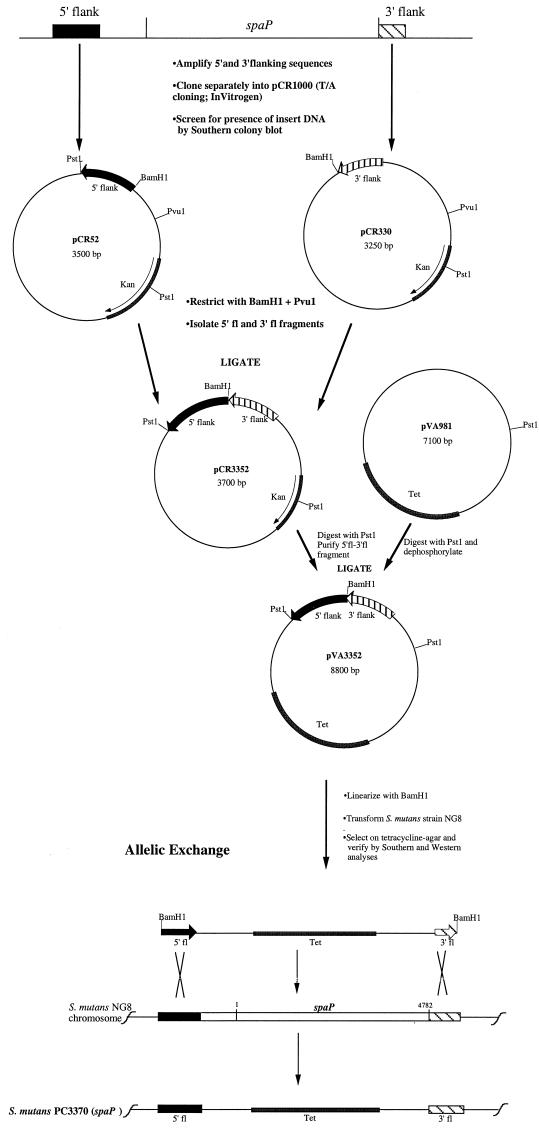 FIG. 1