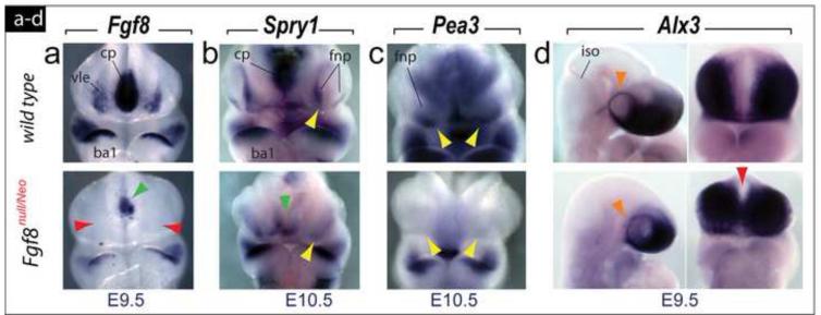 FIGURE 4