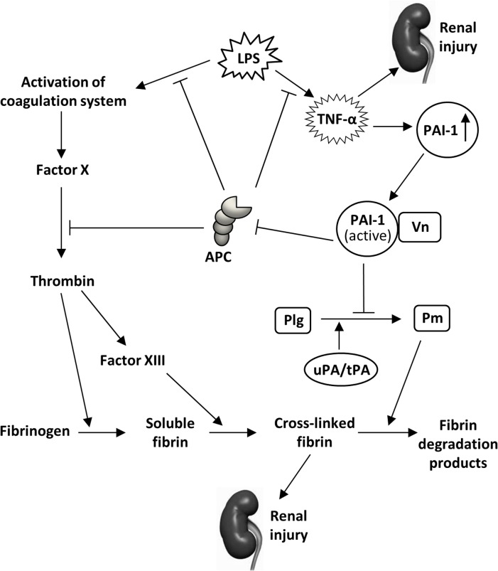 Fig 9