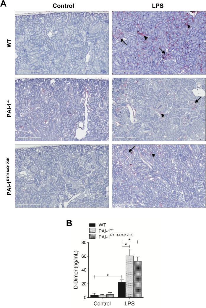 Fig 6