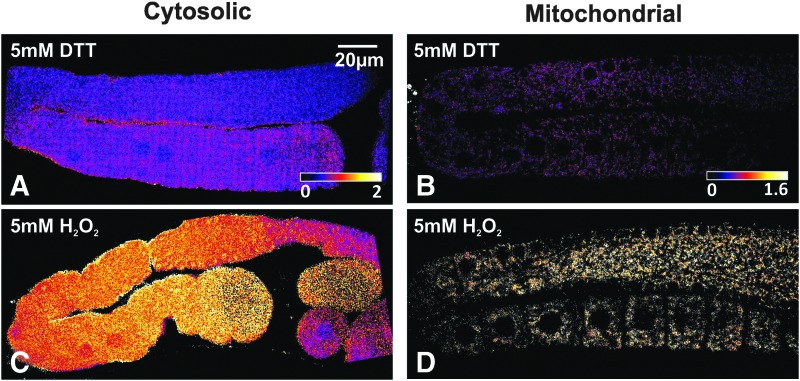 FIG. 2.