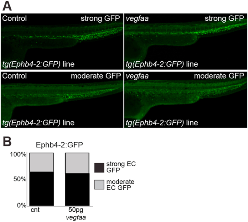 Fig. 7