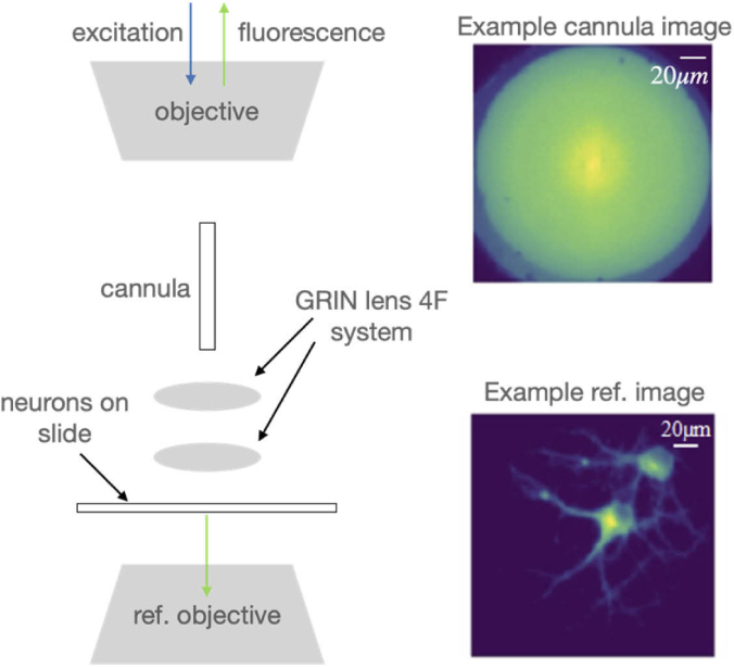 Fig. 1.