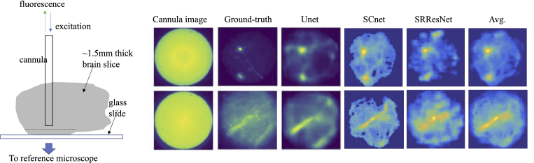 Fig. 4.