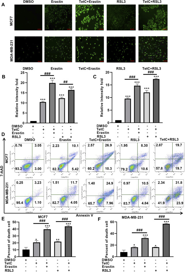 FIGURE 4