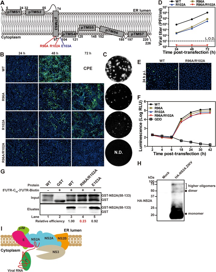 FIG 9