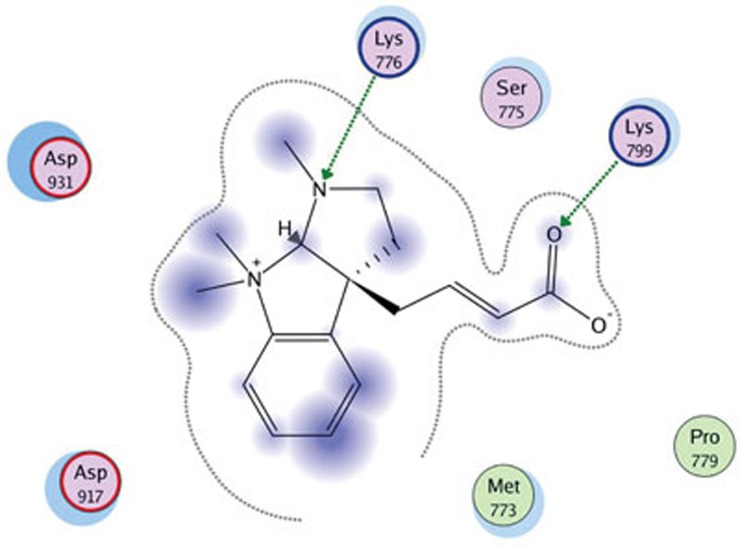 Figure 7