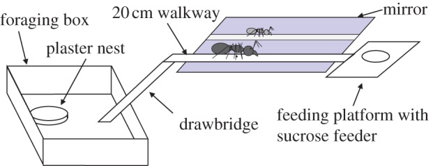 Figure 1.