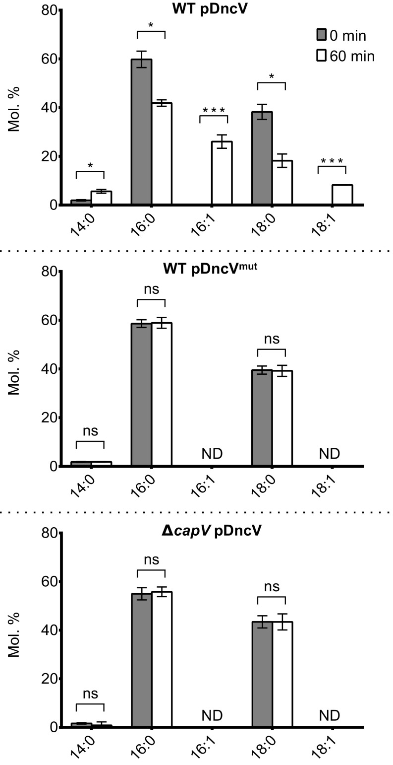 Fig. 5.