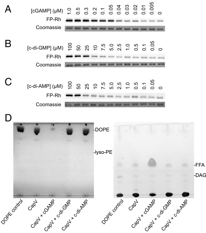 Fig. 3.