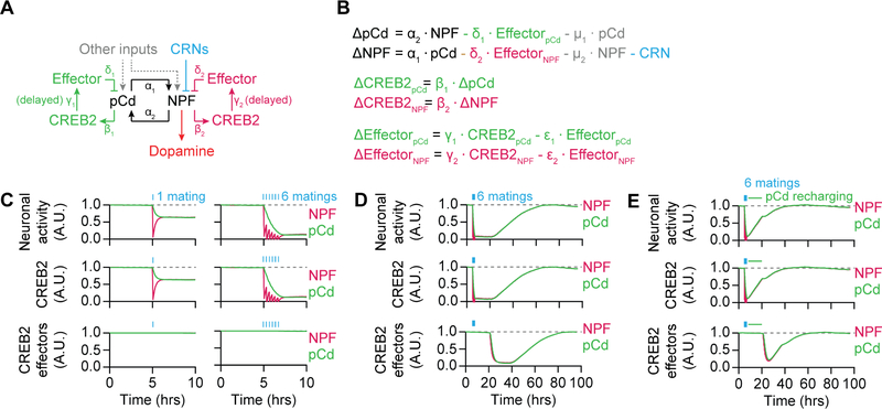 Figure 6.