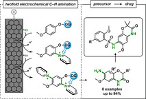 graphic file with name CHEM-26-17574-g008.jpg