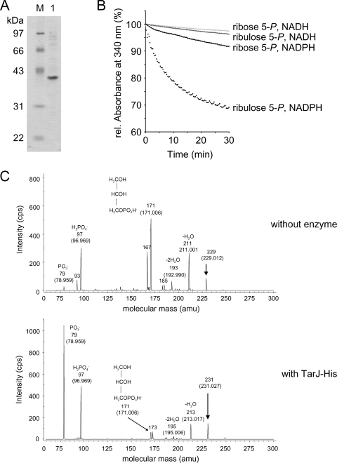 FIG. 1.