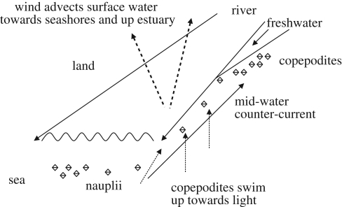 Figure 1.