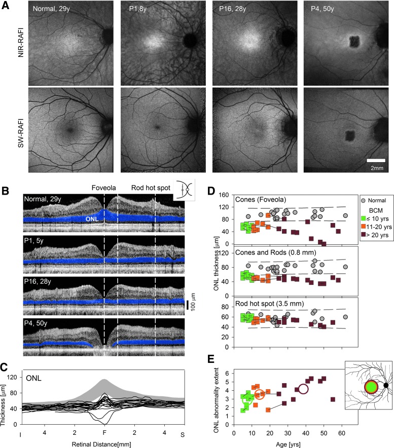 FIG. 2.