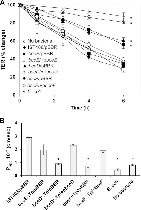 FIG 2