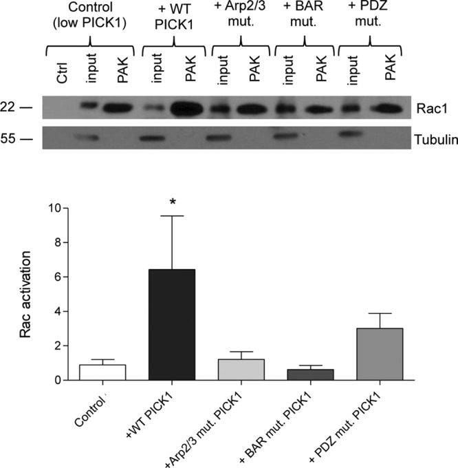 FIGURE 5: