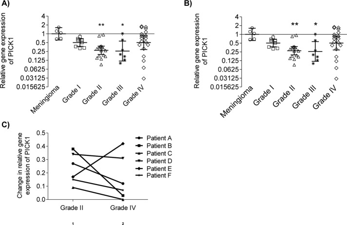 FIGURE 6: