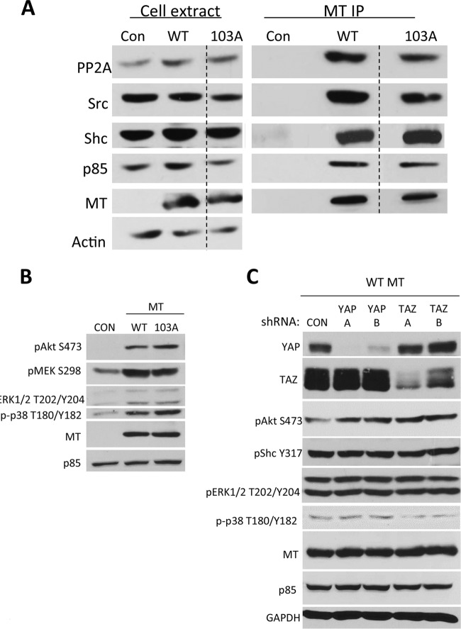 FIG 3