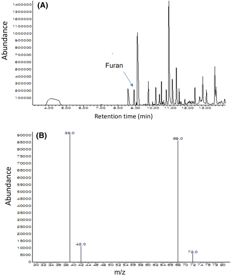 Fig. 1