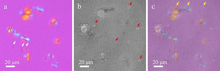 Fig. 4.