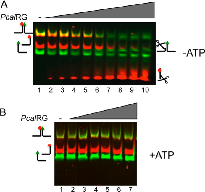 FIGURE 6.