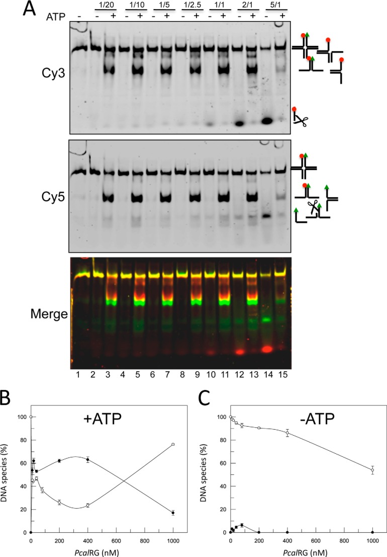 FIGURE 7.