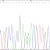Fig.4