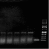 Fig .2