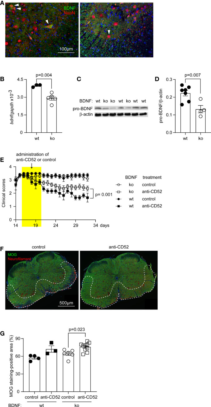 Figure 6