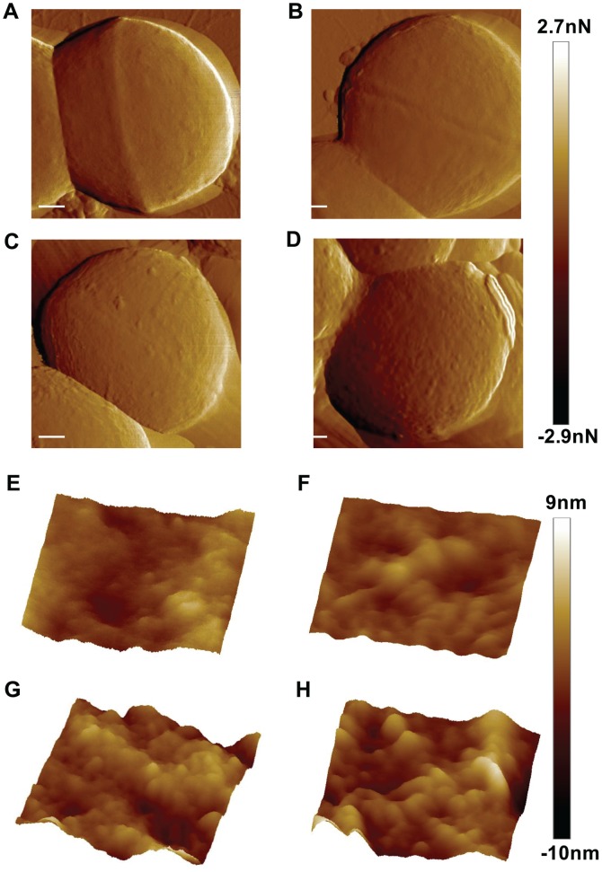 Figure 5