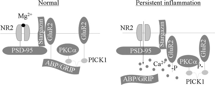 Figure 10.