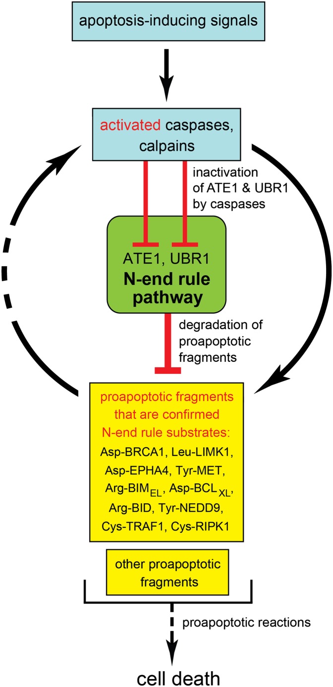 Fig. P1.