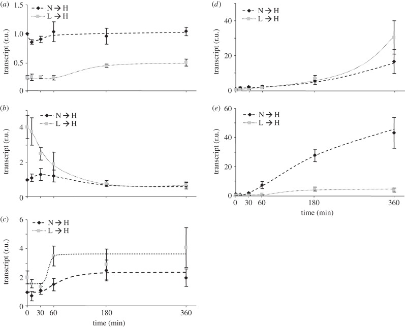 Figure 3.