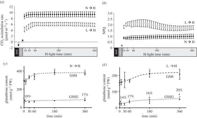 Figure 1.