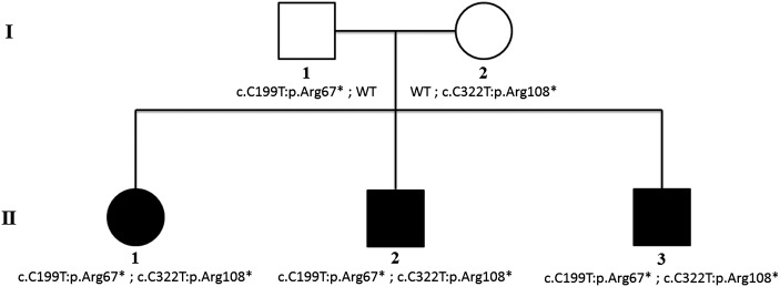 Figure 1.