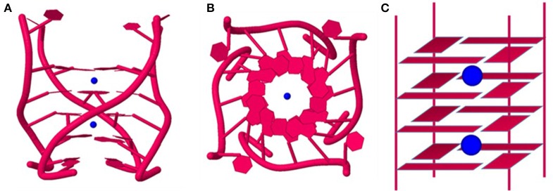 Figure 5