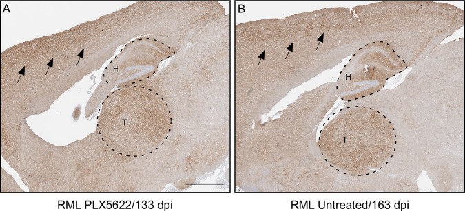 FIG 5