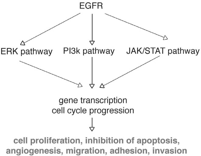 Fig. (3).