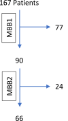 Fig. 1