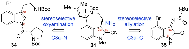 Scheme 6