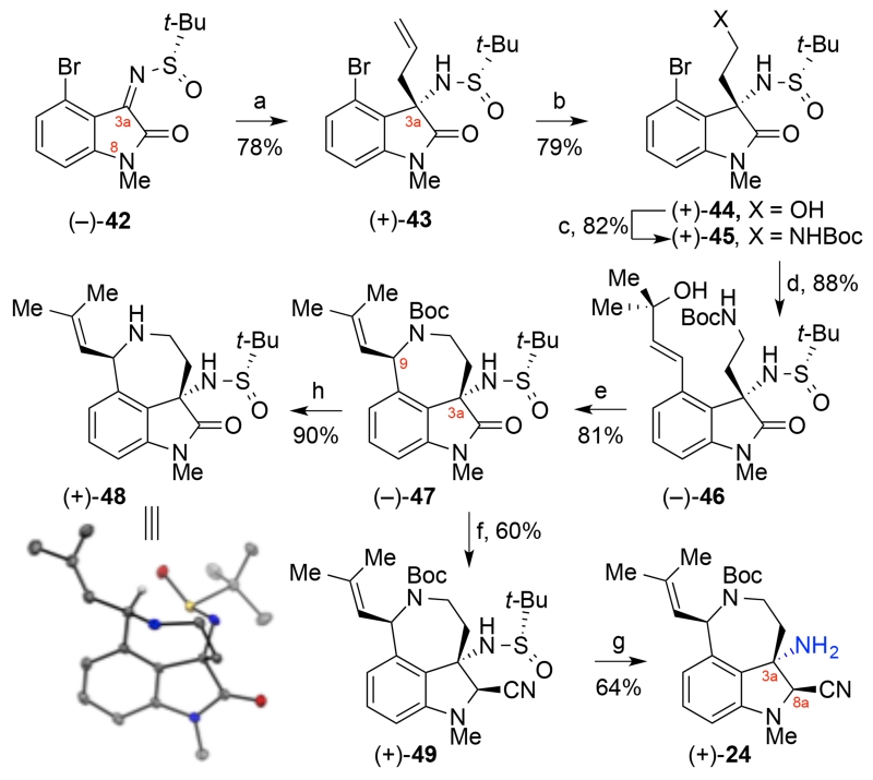 Scheme 8