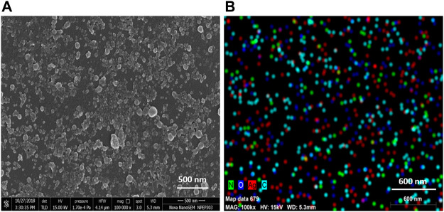 FIGURE 3