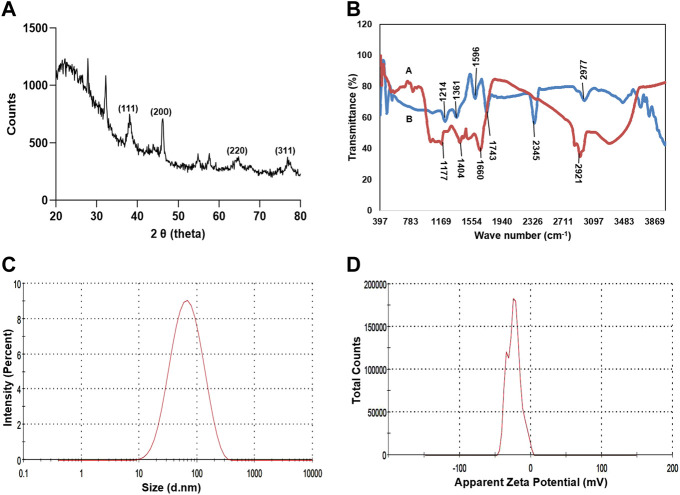 FIGURE 4