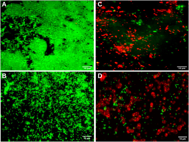 FIGURE 6