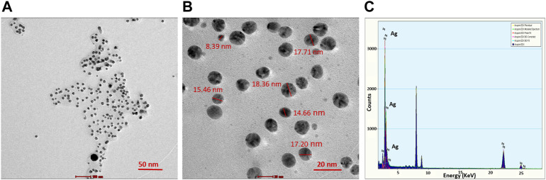 FIGURE 2