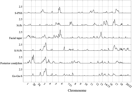 Figure 4.—