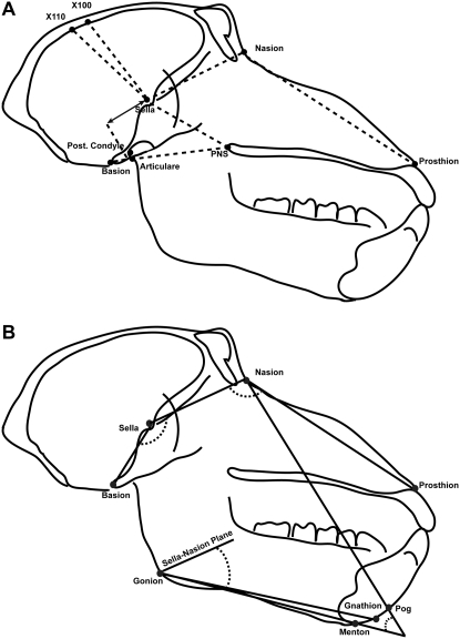 Figure 2.—